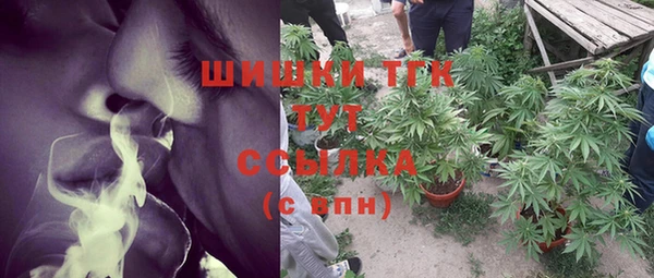 кокс Ельня