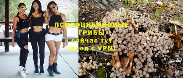 кокс Ельня