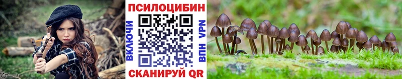 Купить где  Кремёнки  Галлюциногенные грибы мухоморы 